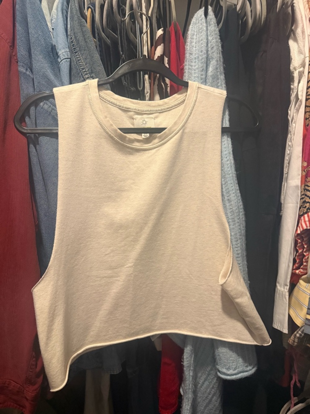Aerie cropped tank